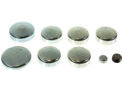 Kit de enchufes de expansión 32678DVDY 1981 1982 1983 1984 para Buick Skylark 1980-1991 Foto 1 de 2