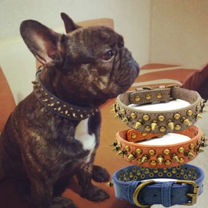 Bulldog Francés Pitbull Perros Cuello Retro Cuero Tachonado Correa Cuello con Púas Perro  - Imagen 1 de 15