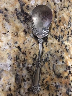 Antigua cuchara grande para servir o bayas WM ROGERS AND SONS AA Foto 1 de 4