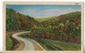 VTG Postcard - S-1087 Road Curve in the Mountain - Unknown Location - Picture 1 of 2