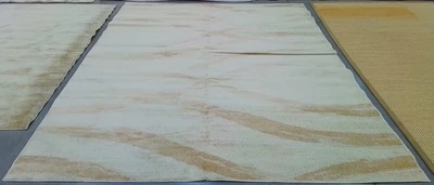 Alfombra dañada CREMA/CHAMPAGNE 9'-0" x 12'-0", precio reducido 1172781132 ADR125W-9 Foto 1 de 4