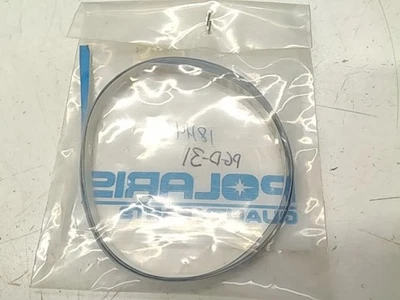 Decal-Pinstripe - 2000 POLARIS NOS - Image 1 of 3