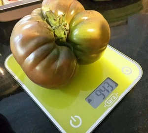 ☺30 graines de tomates noire de crimée - Picture 1 of 1
