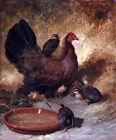 Dream-art Oil painting John-Frederick-Herring-Senior-A-hen-and-chicks in landsca