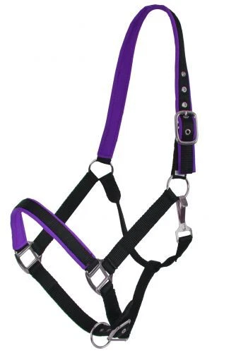 Halter Showman Tamaño Completo Caballo Nylon Color Neopreno Forrado Foto 1 de 1