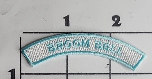 Broom Ball Rocker Patch Ice Blue Embroidered Iron on Achievement Award - Picture 1 of 1