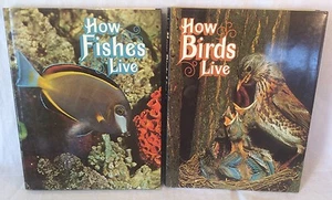2x Collectable Vintage How Animals Live H/B Books (Birds And Fishes) - Imagen 1 de 11