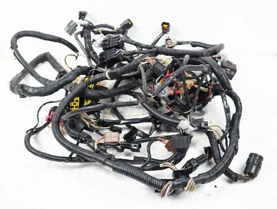 Arnés de cableado principal del motor 100 % trabajo 00-01 Kawasaki Ninja ZX12R ZX12000 Foto 1 de 4