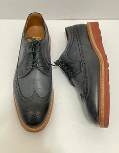 Allen Edmonds Shannon Drive Blue Grey Leather Longwing Derby Shoes Wingtip 9.5 - Picture 1 of 23