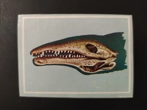 FIGURINA VITA E COLORE ED. MODERNA 1969 n. 93 OTTIMA DA RECUPERO - Bild 1 von 2