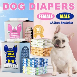 Female/Male Dog Disposable Nappy Diapers Belly Wrap Band Sanitary Underpants 10P - Picture 1 of 14
