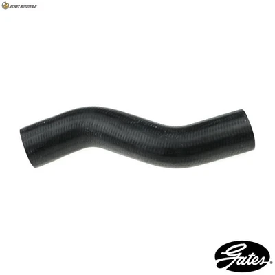 KÜHLERSCHLAUCH 05-3162 FÜR RENAULT MASTER/I/Bus/Platform/Chassis/Van 2.5L 4cyl - Image 1 of 4