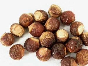 Aritha Reetha Fruits Soap Nuts Sapindus Indian Raw Whole Herbs for HairWash 100g - Picture 1 of 1