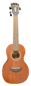 D'Angelico Premier Bayside CS Concert Ukulele Natural - Picture 1 of 8