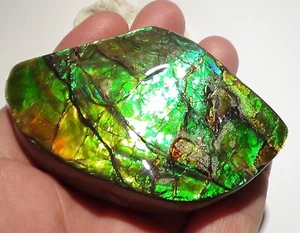 122 gramos!! I Coleccionista Ammolite /Escapa Dragón Verde-Dorado-Naranja + VIDEO - Imagen 1 de 5