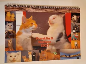 Scoot & Newts Geschenk Franklin & Butters Fotokalender 2023 - Bild 1 von 1