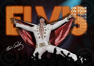 Elvis On Tour - Exclusively Made By Mashed Designs - Imagen 1 de 8