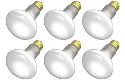 (6 件装)30R20/FL 120V - 30 瓦 R20 泛水 - E26 底座 30W - 灯泡  — 第 1/3 张图片