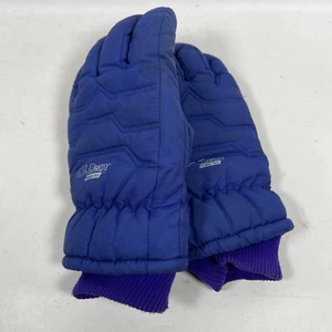LL BEAN Gloves Adult Gore-Tex Thermolite Snow Ski Winter Leather Insulated Blue - Picture 1 of 9