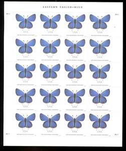 SFSTAMPS US Sc 5136 Non-Machinable Rate Eastern Tailed-Blue Butterfly Sheet 2016 - Picture 1 of 1