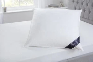 65 cm x 65 cm Extra Füllung Euro Kontinentale Gänsefedern & Daunen Kissen 26" x 26" - Bild 1 von 6