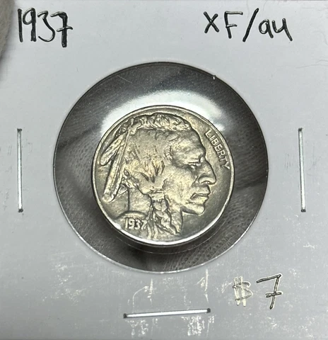 1937-P Buffalo Nickel XF/AU Cover