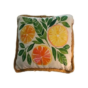 Allen+Roth Set Of 2 Citrus Fruit Throw Pillows Jute Border 16 X 16 Summer Patio - Picture 1 of 4