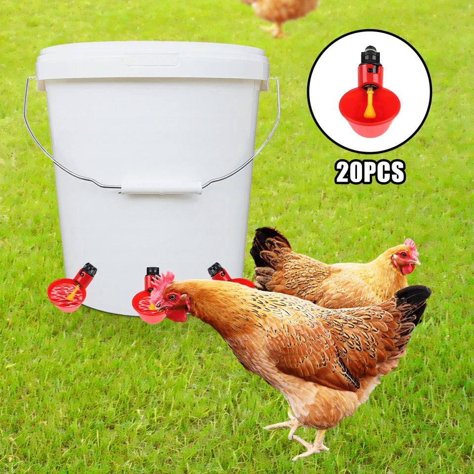 20 PCS Automatic Water Cups Poultry Drinker Waterer Chicken Duck Quail Drinking - Image 1 of 4