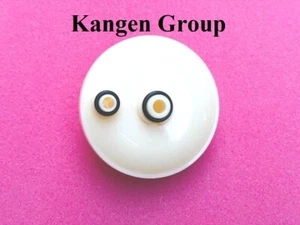 Authentische Original Enagic Reinigungspatrone für Kangen K8 Maschine - Bild 1 von 2