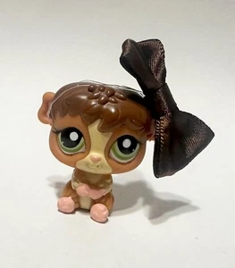 Littlest Pet Shop #2148 Guinea Pig - Picture 1 of 3