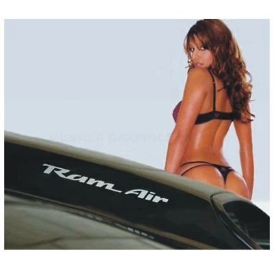 93-02 CALCOMANÍAS PONTIAC FIREBIRD TRANS AM FORMULA WS6 RAM AIR HOOD  Foto 1 de 3