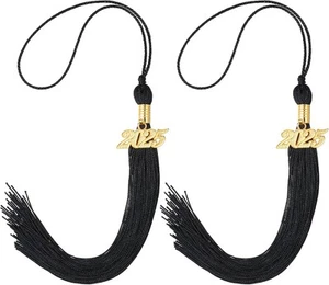 2 Pcs Black Graduation Cap Tassel Decorations 2025 Academic Cap... - Picture 1 of 7