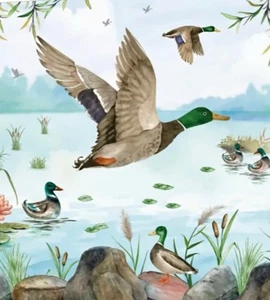 FREE SHIPPING 2 Individual Decoupage Paper Napkins (Ducks) - Picture 1 of 2