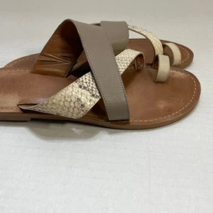 Caslon Women's Snakeskin Leather Toe Slide Sandals - Size 7.5M - EUC - Picture 1 of 8