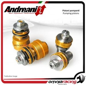 Andreani Kit Kompressionspumpen / Erweiterung Ohlins Modifikation FG43 R&T <08 - Bild 1 von 5
