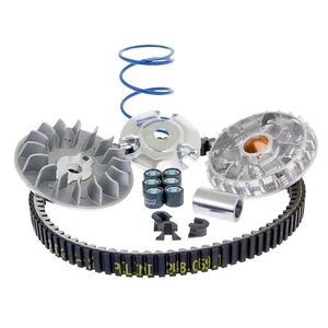 Kit Variatore Hi-Speed + Cinghia Polini per Vespa 250 300 GTS Super Sport HPE - Picture 1 of 1