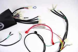 Kabelbaum Jinling Jla 931e 300ccm 276ccm China Quad ATV Jingling Elektrik - Bild 1 von 3