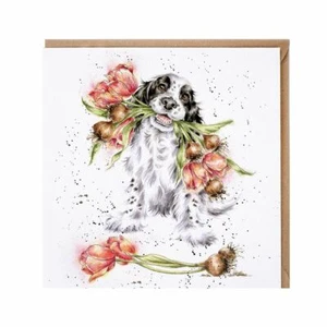 Lustige Glückwunschkarte Spaniel Hund Geburtstag - Blühend mit Liebe von Wrendale - Bild 1 von 1