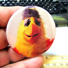 vintage pin back style button, Famous San Diego Chicken Sports team Mascott