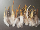 100 Pcs natural chinchila saddle hackle feathers for crafts 
