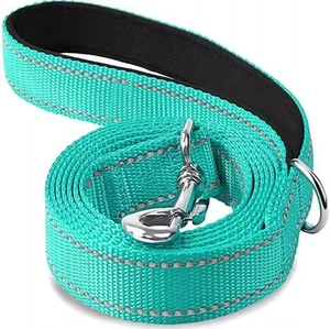 6ft. Dog/Pet Leash, Teal, Reflective Striping On One Side, Padded Handle - Picture 1 of 5
