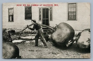 EXAGGERATED BEETS MADISON WI ANTIQUE POSTCARD collage montage - Picture 1 of 2