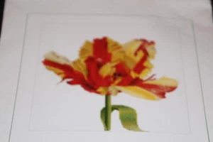 Parrot Tulip Red Yellow by Thea Gouverneur Counted cross stitch kit NIP - Picture 1 of 1