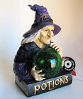 LED Lighted 10" Wicked Witch Crystal Ball Potions Book Sculpture Figurine - NIB