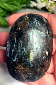 X großer 2,6" 106g hübscher Granat Arfvedsonit Pyrit Palmenstein Kristall Palmenstein - Bild 1 von 11