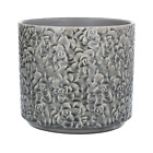 Light Grey Succulent Design Ceramic Plant Pot Cover Planter, Gisela Graham