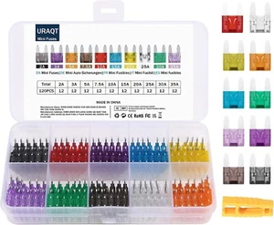 120 Mini Fusibili per Auto,Barche,Moto + Estrattore 10 Specifiche Universale - Foto 1 di 12
