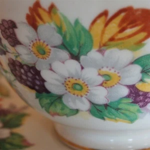 Royal Chelsea Floral Fruit Gold Trim Teacup and Saucer - Picture 1 of 9