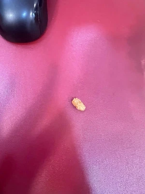 1 New raisin seed on red fot background Wrinkle Sister Birthd - Image 1 of 4