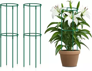 16 Packs Half round Plant Support Stakes round Small Plant Stakes for Indoor Pl - Picture 1 of 12